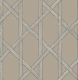  Kenneth James Azmaara FD22424