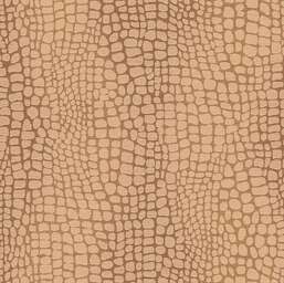  Khroma Amazone ZON304