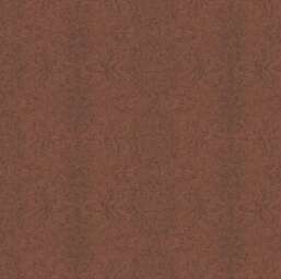  Khroma Amazone ZON405