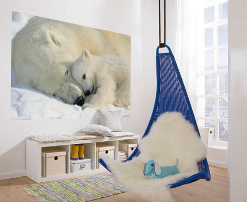 Фотообои Komar 184x127 1-605 Polar Bears  NG - фото 2