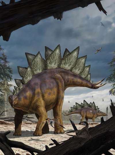 Фотообои Komar 184x248 XXL2-530 Stegosaurus