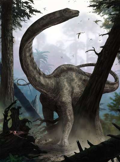 Фотообои Komar 184x248 XXL2-531 Rebbachisaurus