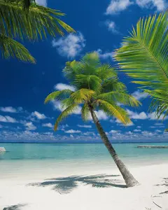  Komar 184x254 4-883 Ari Atoll -  1