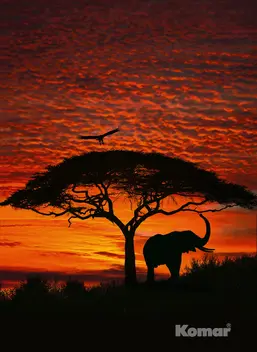  Komar 194x270 4-501 African Sunset