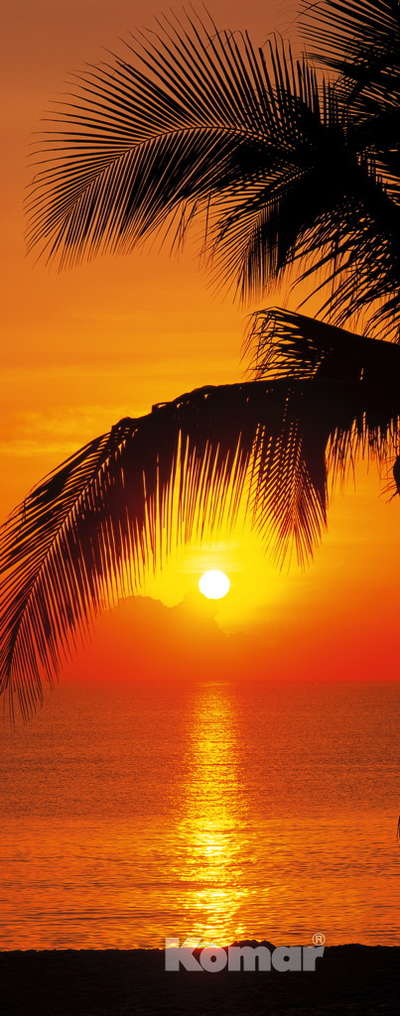 Фотообои Komar 220x92 2-1255 Palmy Beach Sunrise
