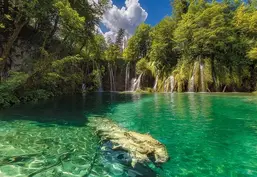  Komar 368x254 8-533 Eden Falls
