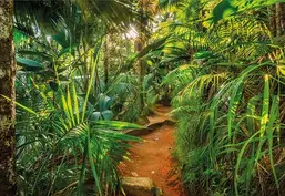  Komar 368x254 8-989 Jungle Trail