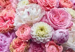  Komar 368x254 8-335 Vibrant Spring