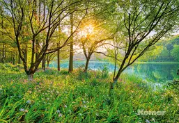  Komar 368x254 8-524 Spring Lake