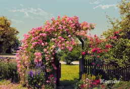  Komar 368x254 8-936 Rose Garden
