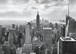  Komar 368x254 8-323 NYC Black And White