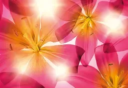  Komar 368x254 8-928 Summer Sun