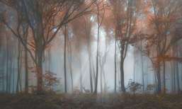  La Stanza Alba 800172