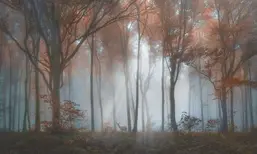  La Stanza Alba 800172
