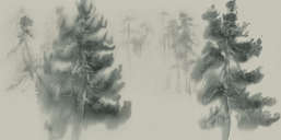  La Stanza Alba 800735