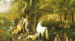  La Stanza  i296
