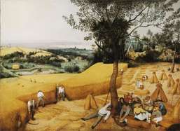  La Stanza  i333
