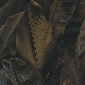  Limonta Lymphae  17808 -  1