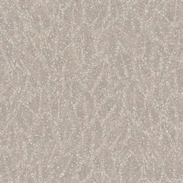  Loymina A La Prima Pm7-002-2