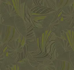  Loymina Amazonia  Ins5 005/1
