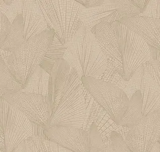  Loymina Amazonia  Ins6 002/2 -  1