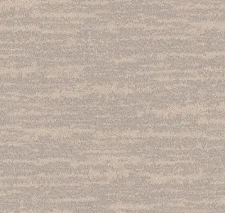  Loymina Amazonia  Ins8 002/1 -  1