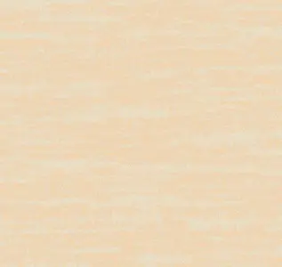  Loymina Amazonia  Ins8 003 -  1