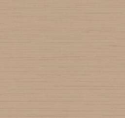  Loymina Amazonia  Ins9 002/1
