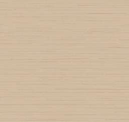  Loymina Amazonia  Ins9 002/2