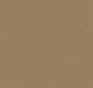  Loymina Amber salon AS3 004 -  1