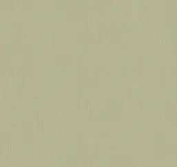  Loymina Amber salon AS5 005/1