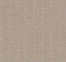  Loymina Cachemire Ch 6 012/2