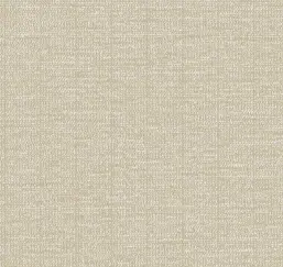  Loymina Cachemire Ch 6 012