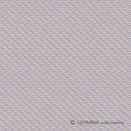  Loymina Clair CLR1 006