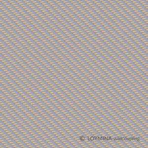  Loymina Clair CLR1 021/1 -  1