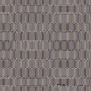  Loymina Clair CLR6 011 -  1