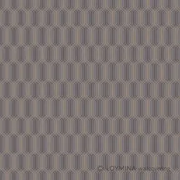  Loymina Clair CLR6 011