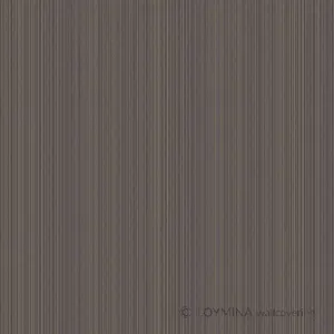  Loymina Clair CLR8 011 -  1