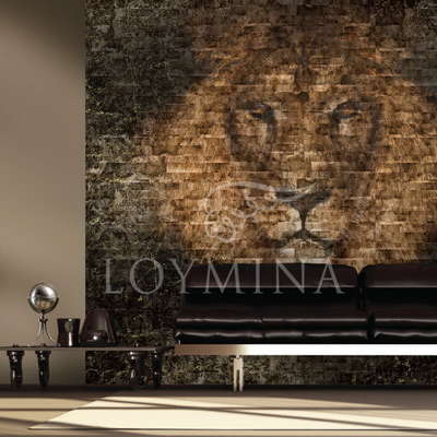  Loymina Illusion DM 039 -  2