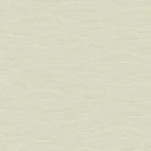  Loymina Equator QTR6 006 -  1