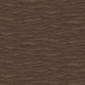  Loymina Equator QTR6 010 -  1
