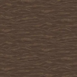  Loymina Equator QTR6 010