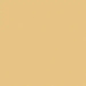  Loymina Equator QTR8 002-2 -  1