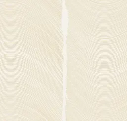  Loymina Equilibre BR4 001