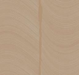  Loymina Equilibre BR4 002/1