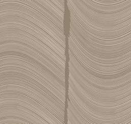  Loymina Equilibre BR4 002/2