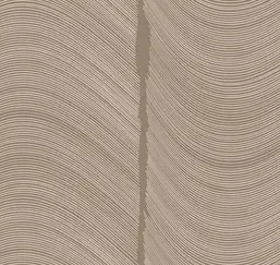  Loymina Equilibre BR4 002/2