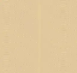  Loymina Equilibre BR4 002