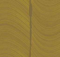  Loymina Equilibre BR4 005/1