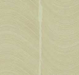  Loymina Equilibre BR4 005